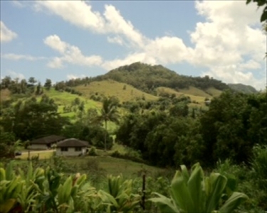 View Details of House Sitting Assignment in Kapaa, Hawaii