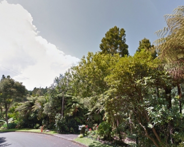 View Details of House Sitting Assignment in Auckland, New Zealand