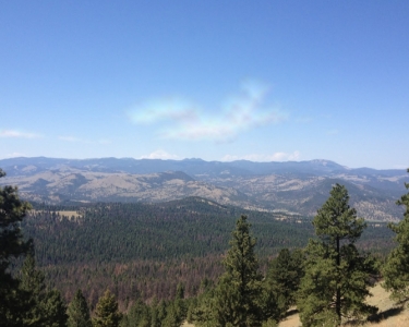 View Details of House Sitting Assignment in Townsend, Montana