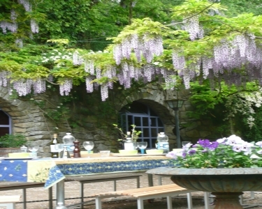 House Sitting in Ficulle(tr), Italy