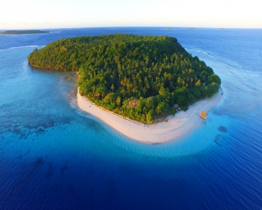 View Details of House Sitting Assignment in Vava'u, Kingdom Of Tonga, South Pacific