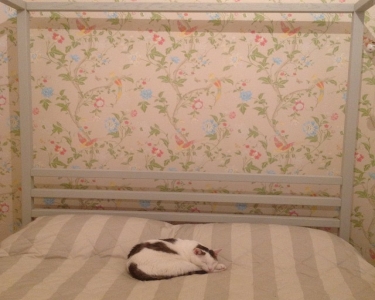 View Details of House Sitting Assignment in Milan, Italy