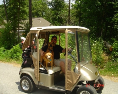 View Details of House Sitting Assignment in Bella Vista, Arkansas