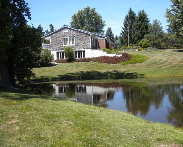 House Sitting in Ortonville, Michigan
