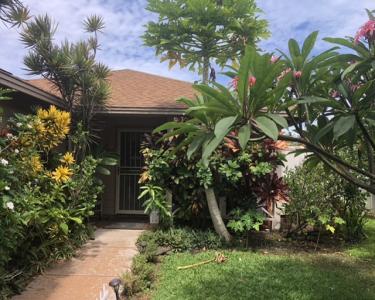 House Sitting in Kihei, Hawaii