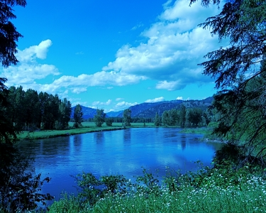 View Details of House Sitting Assignment in Grand Forks, Canada