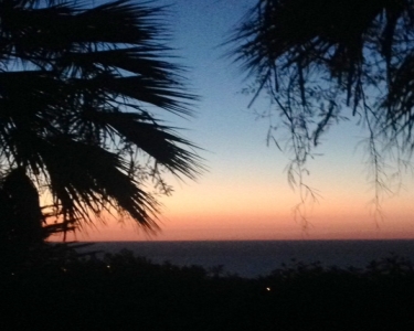 House Sitting in Valderice, Italy