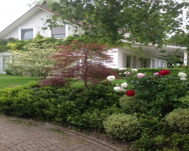 View Details of House Sitting Assignment in Vich, Switzerland