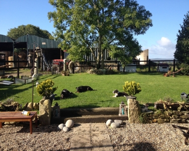 View Details of House Sitting Assignment in Wicklow, Ireland