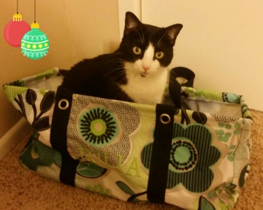 View Details of House Sitting Assignment in Lakewood, Colorado