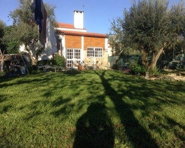 View Details of House Sitting Assignment in Santerem, Portugal