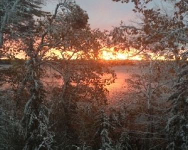 View Details of House Sitting Assignment in Round Pond, Maine