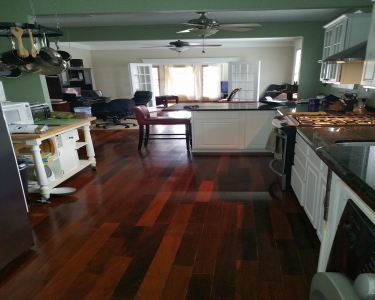 House Sitting in New Orleans, Louisiana