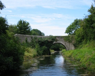 View Details of House Sitting Assignment in Naas, Ireland