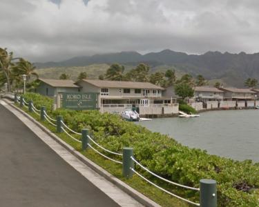 View Details of House Sitting Assignment in Honolulu, Hawaii