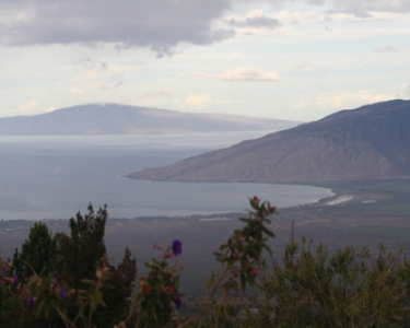 View Details of House Sitting Assignment in Kula, Hawaii