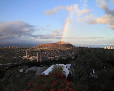 House Sitting in Honolulu, Hawaii