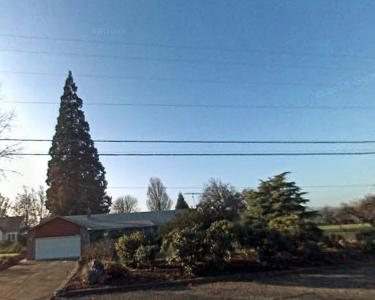 House Sitting in Albany, Oregon