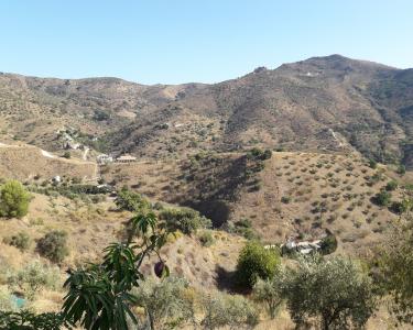 View Details of House Sitting Assignment in Totalan, M�laga, Spain