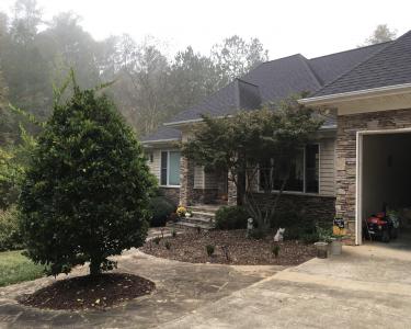 House Sitting in Mt Gilead, North Carolina