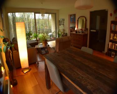 House Sitting in Leuven, Belgium