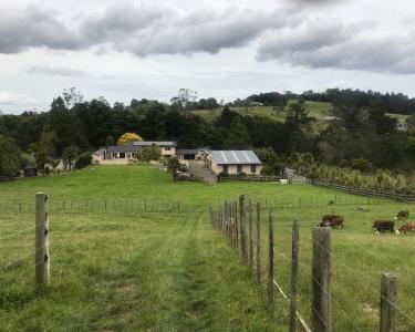 House Sitting in Massey, New Zealand