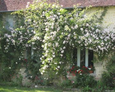 House Sitting in St Leger Sur Sarthe, France