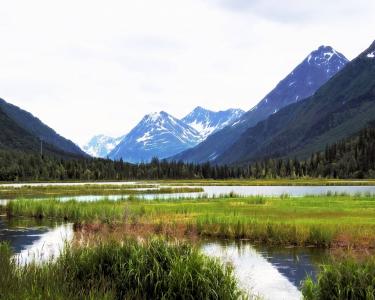 View Details of House Sitting Assignment in Anchorage, Alaska