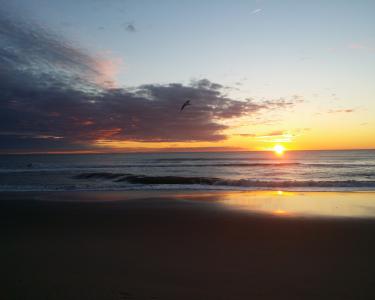 House Sitting in Virginia Beach, Virginia