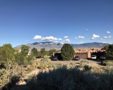 House Sitting in Corrales, New Mexico
