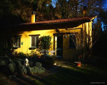 House Sitting in Ficulle(TR), Italy