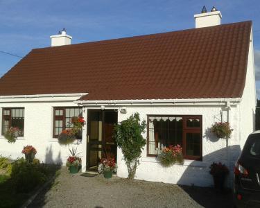 House Sitting in Portarlington, Ireland