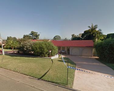 House Sitting in St Clair, Australia