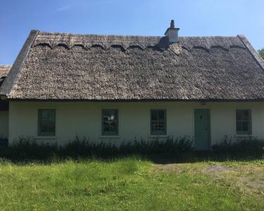 House Sitting in Galway, Ireland