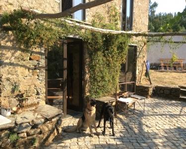 House Sitting in Oleiros, Portugal