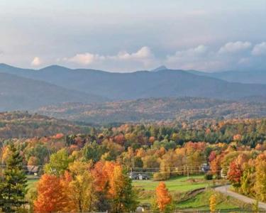 House Sitting in Waterbury, Vermont