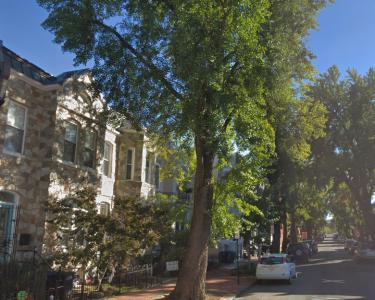 House Sitting in Washington, District of Columbia