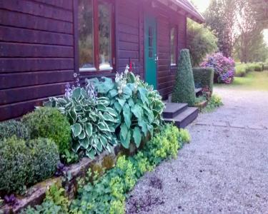 House Sitting in Boyle, Ireland