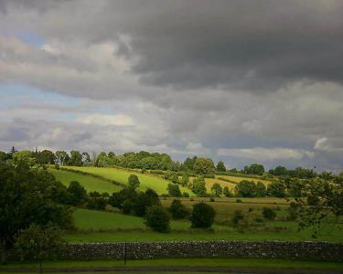 House Sitting in County Roscommon, Ireland