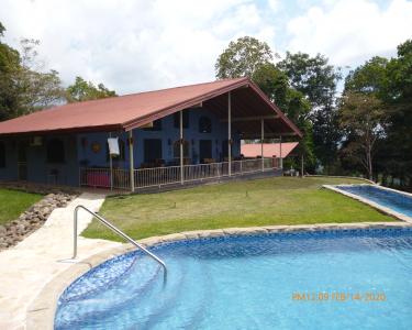 House Sitting in Platanillo, Costa Rica