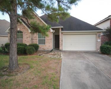 House Sitting in Katy, Texas