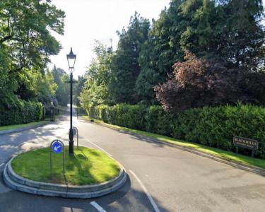 House Sitting in Esher, United Kingdom
