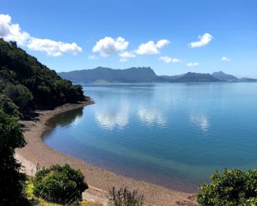 House Sitting in Whangarei, New Zealand