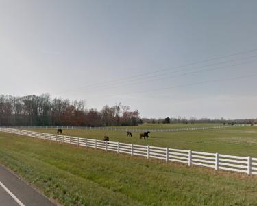 House Sitting in Aylett, Virginia