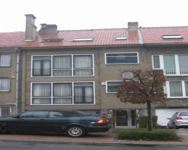 House Sitting in Bruxelles, Belgium