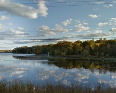 House Sitting in Forest Lakr, Minnesota