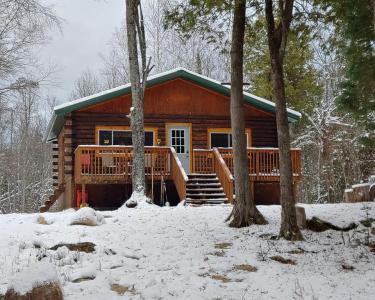 House Sitting in Orr, Minnesota
