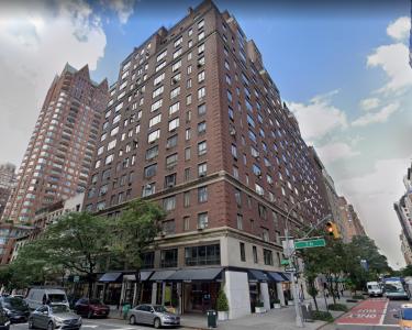 House Sitting in New York, New York