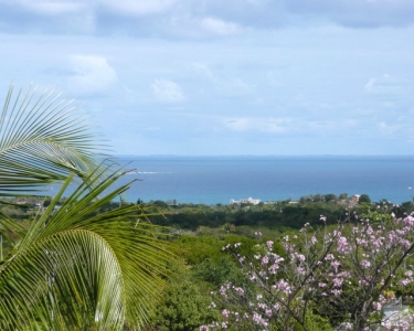 House Sitting in Vieques, Puerto Rico