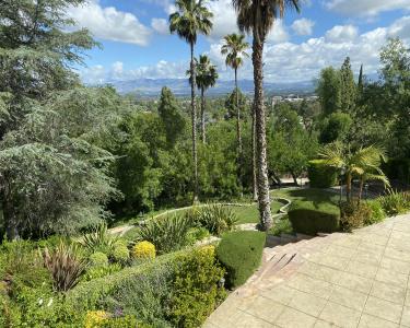 House Sitting in Tarzana, California